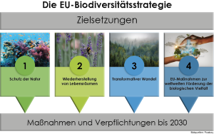 Prozess-Graphik: Weg zum post-2020 GBF Prozess-Graphik: Weg zum post-2020 GBF